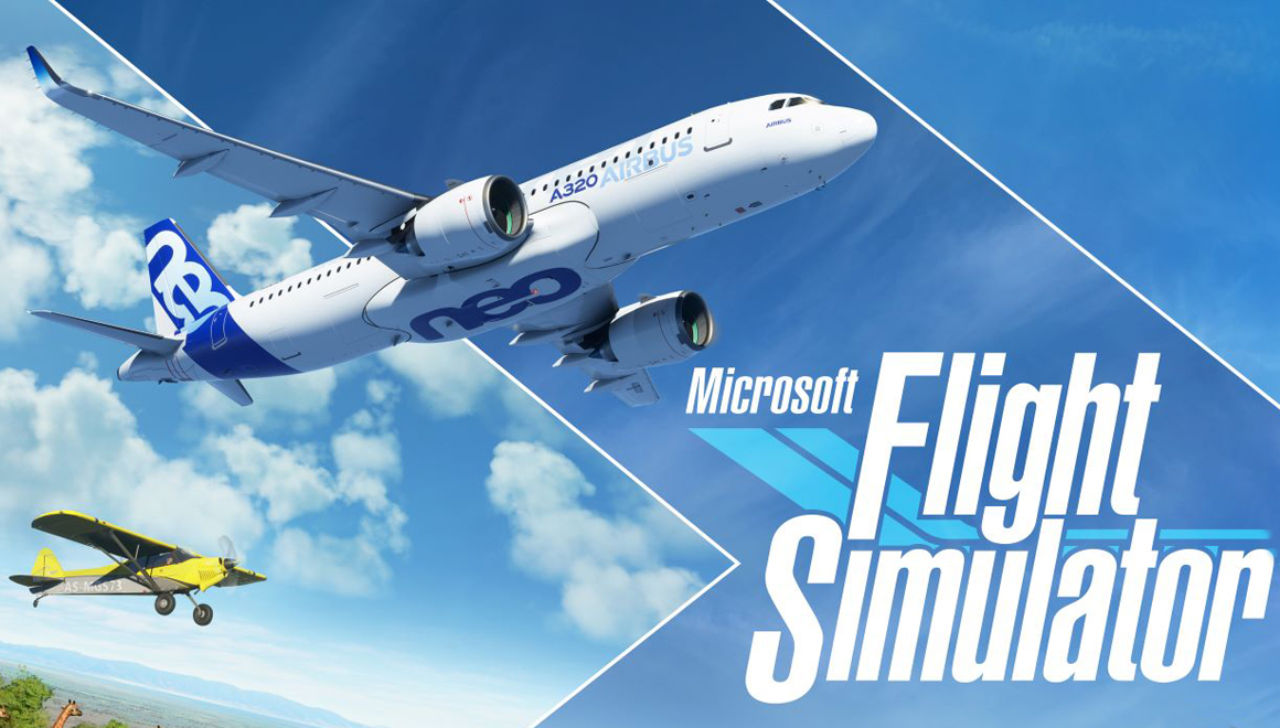 microsoft flight simulator 2020 cikti